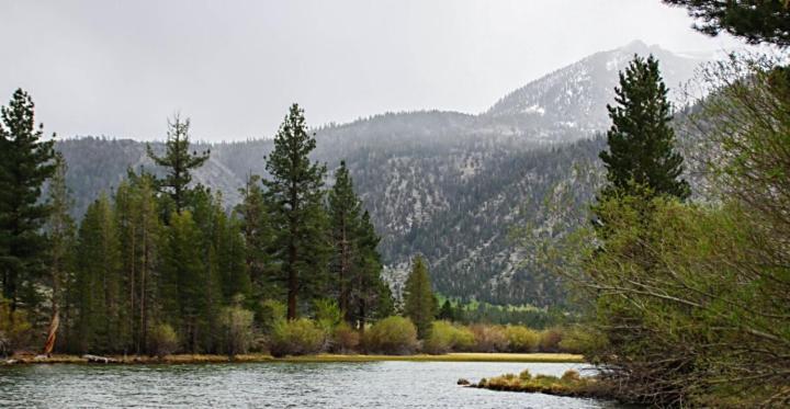 June Lake Motel 외부 사진